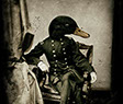 Duck in the service . Part of the Great Battle Series