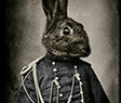 Bunny Rabbit in the service of a civil war in the series The Great Battle